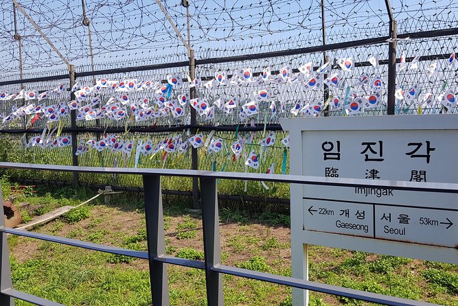 Private DMZ Tour - Dora Observatory: Binocular Time and Controlled Viewing