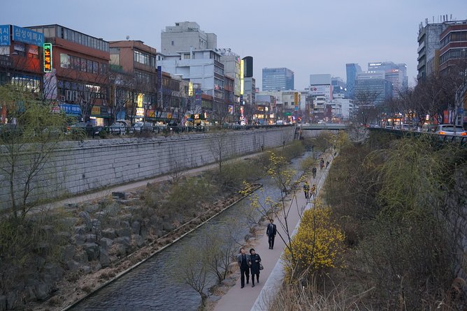 Private English Speaking Driver in Seoul: Airport Service Available - What to budget for on the ground (so the day stays fun)