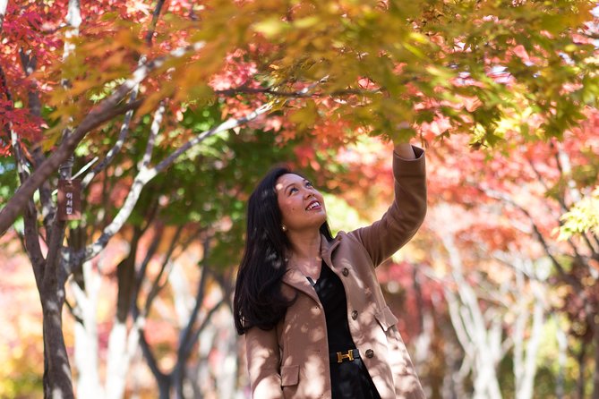 Private Nami Island Photo Shoot and Tour with a Photographer - Price and value: what $179 covers, and what you’ll still pay