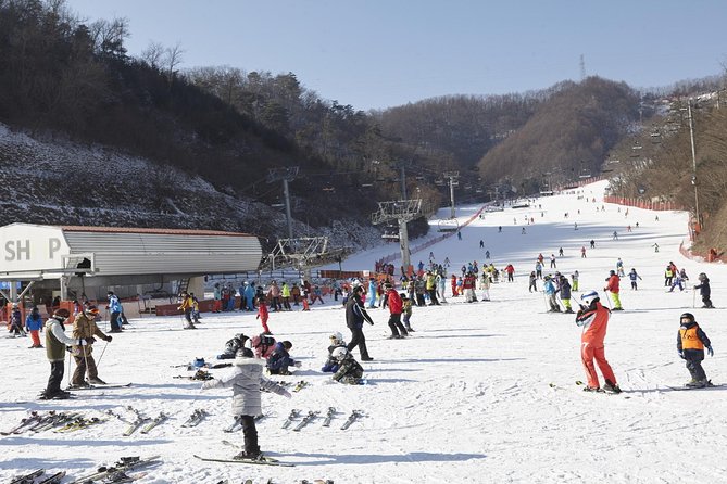 Private Ski Tour(Lesson) near Seoul at Elysian Gangchon Resort - Key highlights to know before you go