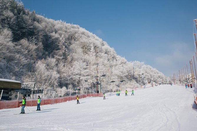 Private Ski Tour(Lesson) near Seoul at Elysian Gangchon Resort - 2 Hours on Skis That Actually Teaches: Private Lesson Rhythm
