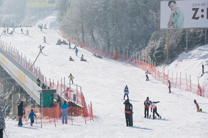 Private Ski Tour(Lesson) near Seoul at Elysian Gangchon Resort - Should you book this private lesson near Seoul?