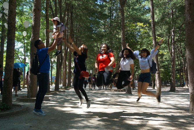 Private Tour: Nami Island& (Alpaca World 'or' Morning Calm)&Lunch - Price and value: what $226 per person buys you