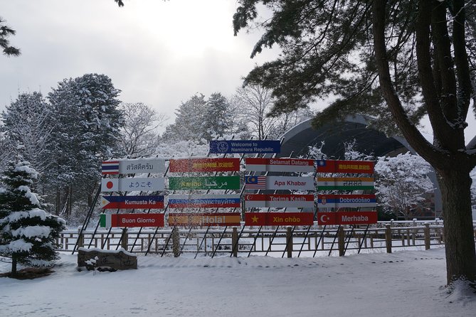 Private Tour: Nami Island& (Alpaca World 'or' Morning Calm)&Lunch - Alpaca World in Hongcheon: meeting animals up close in forest air