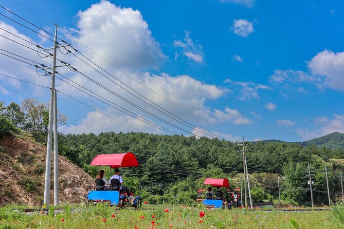 (Private tour) Nami Island + Railbike + Garden of morning calm - A small-group day to escape Seoul on your schedule