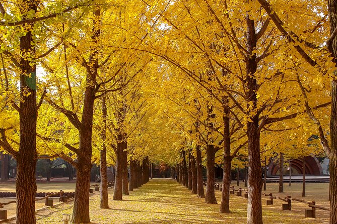 (Private tour) Nami Island + Railbike + Garden of morning calm - Timing, comfort, and who this private trip suits best