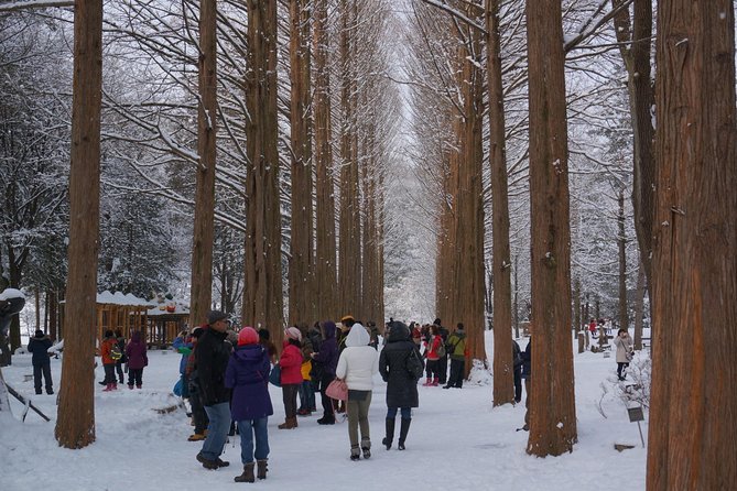 [Private Tour] Nami Island & Snow Viewing and Snow sled (More Members Less Cost) - Elysian Gangchon snow viewing and snow sled: the payoff portion of the day