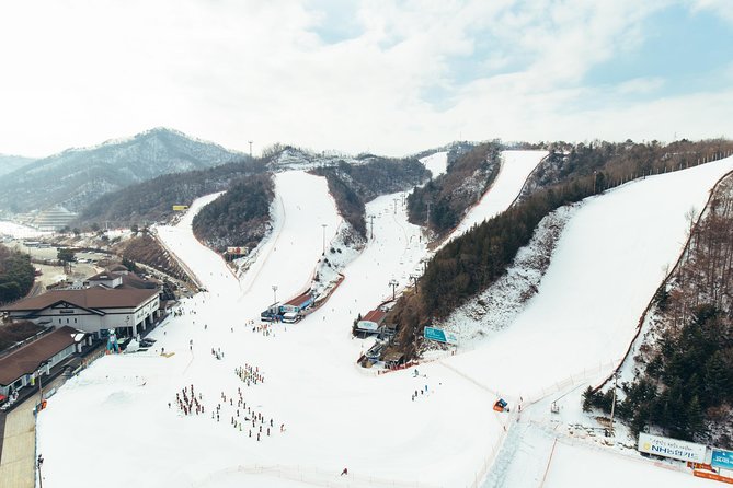[Private Tour] Nami Island & Snow Viewing and Snow sled (More Members Less Cost) - The 8–9 hour schedule: when the cold hits and how to plan around it