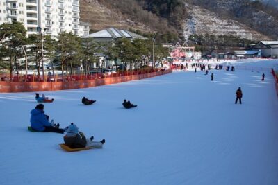 [Private Tour] Nami Island & Snow Viewing and Snow sled (More Members Less Cost) - A private driving guide that keeps your day simple