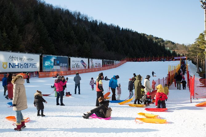 [Private Tour] Nami Island & Snow Viewing and Snow sled (More Members Less Cost) - Price and value: what $224 includes, and where lunch fits in