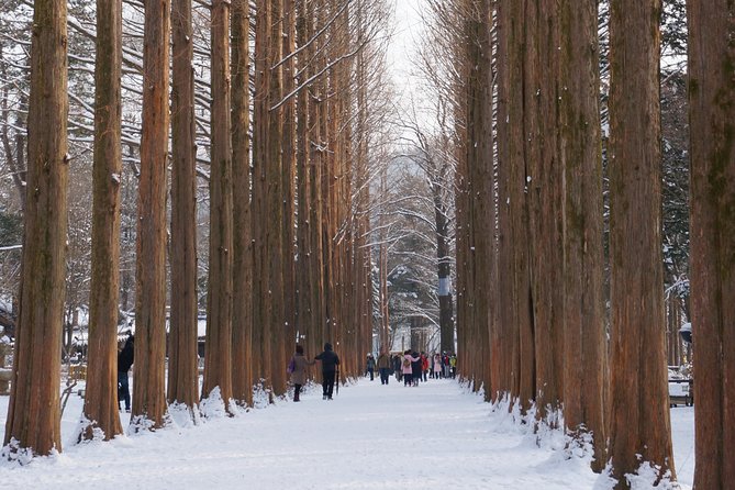 [Private Tour] Nami Island & Snow Viewing and Snow sled (More Members Less Cost) - What to pack: waterproof warmth for Nami Island and sled time
