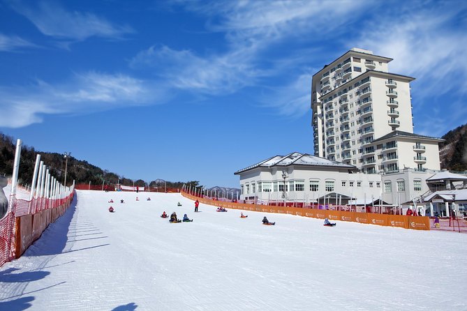 [Private Tour] Nami Island & Snow Viewing and Snow sled (More Members Less Cost) - Should you book this Nami Island and Elysian Snow Tour?