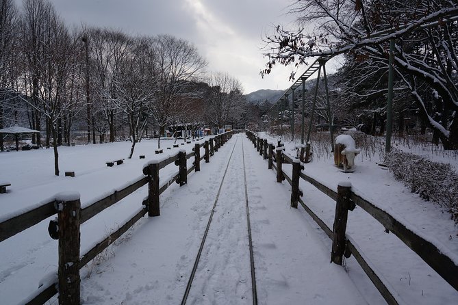 Private Tour Rail Bike & Nami Island & (Petite France or Garden of Morning Calm) - The private guide + pickup: where the money goes