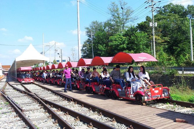Private Tour Rail Bike & Nami Island & (Petite France or Garden of Morning Calm) - Should you book this private rail bike and theme park day?