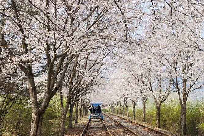 Private Tour to Alpaca world &Nami Island& Railbike with Tickets - Gangchon Rail Park: Riding on a Discontinued Line with Bukhan River Views