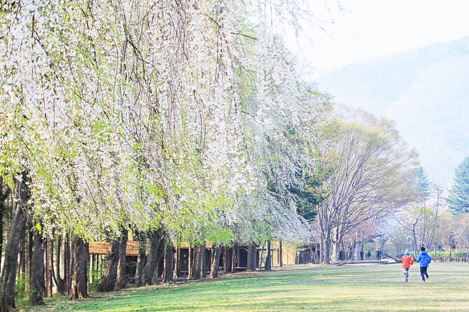 Private Tour to Alpaca world &Nami Island& Railbike with Tickets - Getting There Smoothly: Private Van, Pickup, and Mobile Tickets