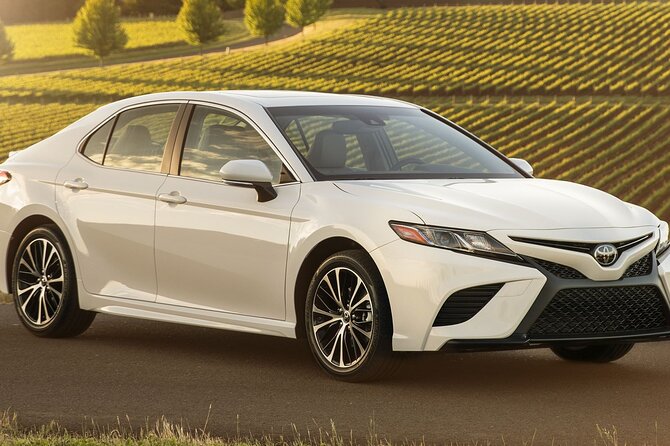 Private Transfer Service from Seoul City Hotels to Gimpo Airport - Choosing the Right Vehicle: Sedan, MVP, or Bus for Your Luggage