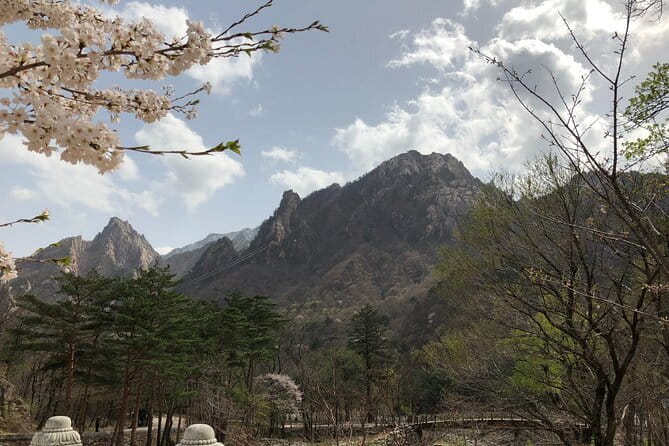 Seoraksan and Cherry Blossom Lake 1 day trip from Seoul - Quick highlights from this Seoraksan and cherry blossom day trip