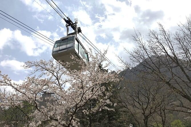 Seoraksan and Cherry Blossom Lake 1 day trip from Seoul - Getting from Seoul to Sokcho without turning it into a headache