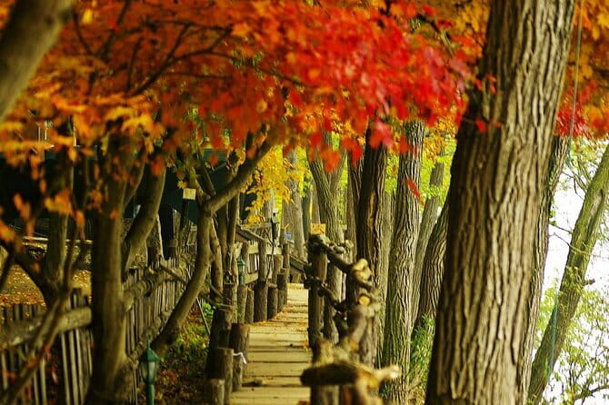 Seoraksan and Cherry Blossom Lake 1 day trip from Seoul - Lake Yeongrang and the Yeongrangho cherry blossom festival stop