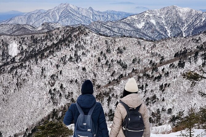 Seoraksan National Park & Nami Island - Key Highlights You’ll Care About