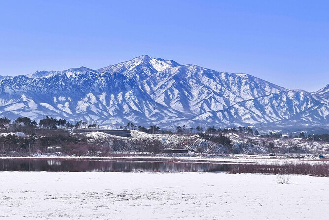 Seoraksan National Park & Nami Island - Why This Seoul Day Trip Makes Sense for First-Timers