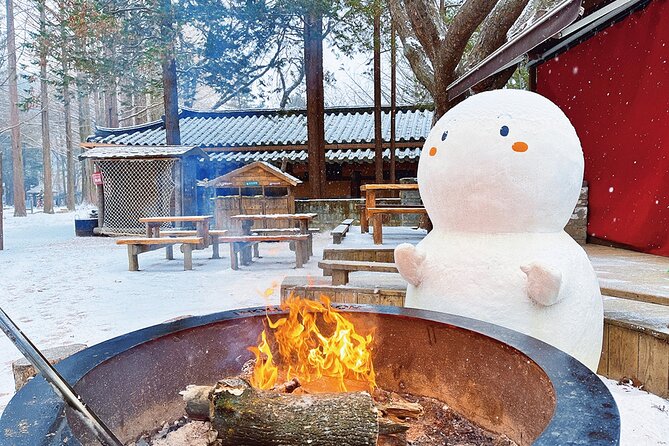 Seoraksan National Park & Nami Island - Seoraksan National Park: Cable Car Views, Optional Light Hiking, and What to Watch For
