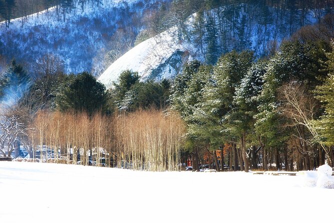 Seoraksan National Park & Nami Island - Returning to Seoul: Expect a Long Day, Not a Full Rest Day