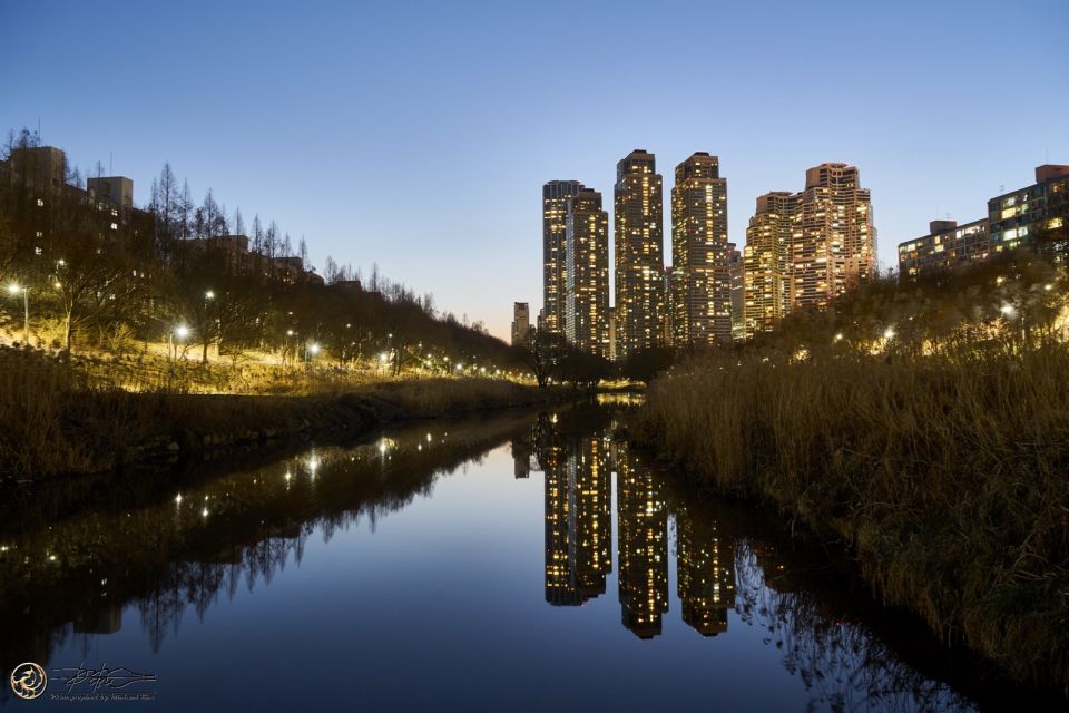 Seoul: 4-Hour Gangnam Walking Tour With Customized Itinerary - Gangnam Style Statue and K-Pop Center Energy