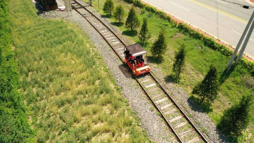 Seoul: Alpaca World and Nami Island (with Garden / Railbike) - Price and value: is $83 really fair for this mix?