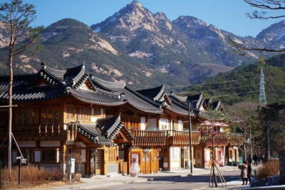 Seoul and Suburbs Private Customized Tour - Nami Island: tree-lined paths, art installations, and time to wander