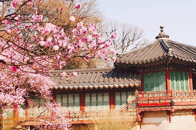 Seoul and Suburbs Private Customized Tour - Petite France: a Little Prince-inspired village with French-style charm