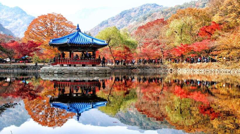 Seoul: Autumn Foliage - Mt. Naejang + Jeonju Hanok Village - Mt. Naejangsan National Park: walking routes and fall color expectations