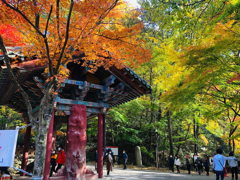 Seoul: Autumn Foliage - Mt. Naejang + Jeonju Hanok Village - Jeonju Hanok Village: how to make the most of 3 hours
