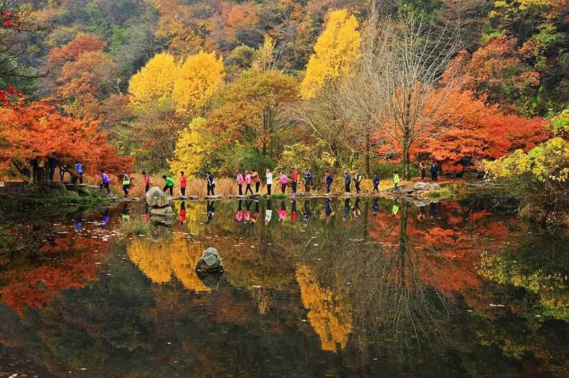 Seoul: Autumn Foliage - Mt. Naejang + Jeonju Hanok Village - Walking load and who should (and shouldn’t) take this