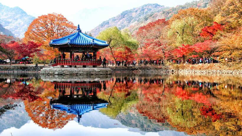 Seoul: Autumn Foliage - Mt. Naejang + Jeonju Hanok Village - What’s included versus what you’ll pay for yourself
