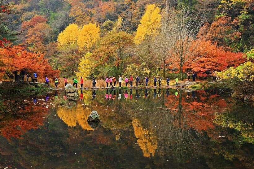 Seoul: Autumn Foliage - Mt. Naejang + Jeonju Hanok Village - Getting there from Seoul: timing, meeting points, and drop-offs