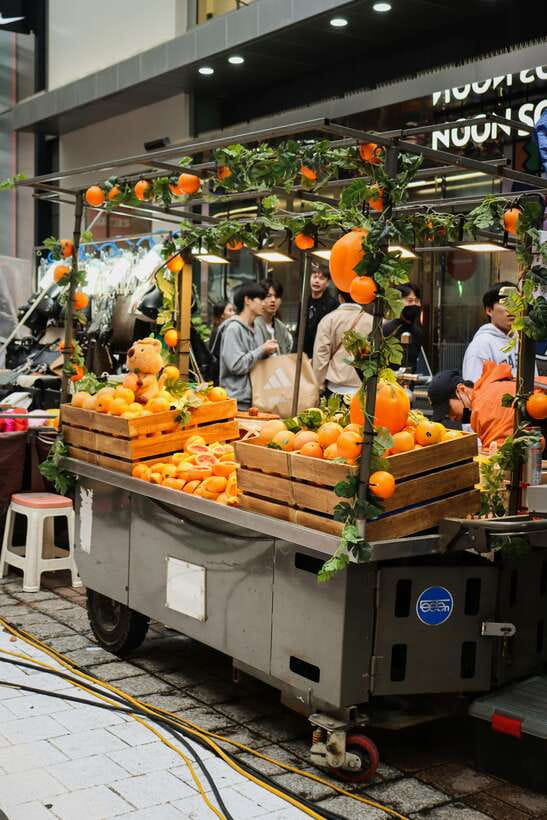 Seoul : Best of Seoul Private Walking Tour - Gwangjang Market: food culture and local browsing without the guesswork