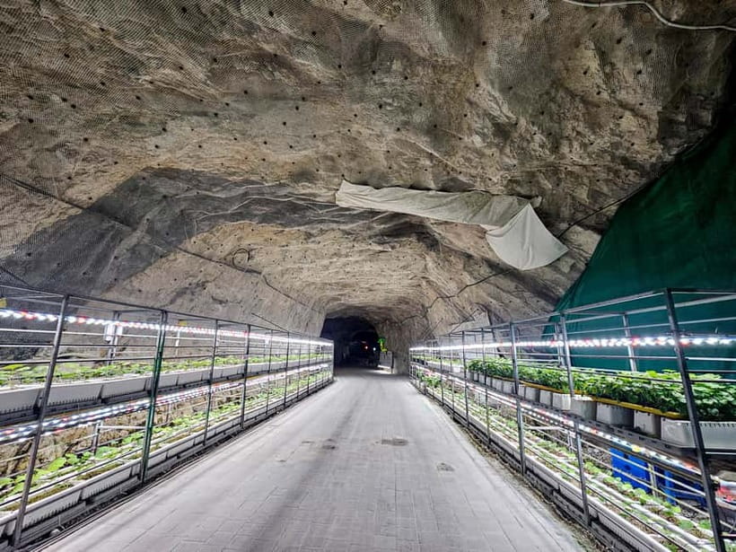 Seoul: Chungju Cruise, Cable Car & Cave Kayak Adventure Tour - Price and Value at $69: What You’re Really Paying For