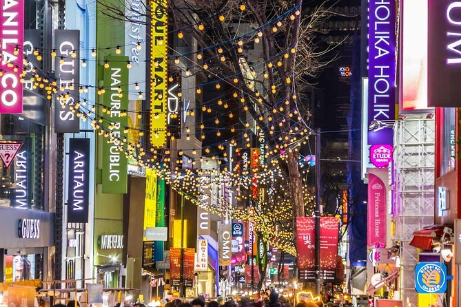 Seoul City Private Tour (Optional layover) - How a private Seoul highlights day saves your time