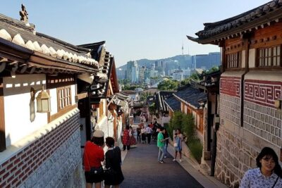 Seoul City Private Tour (Optional layover) - Your private driver-guide and door-to-door comfort
