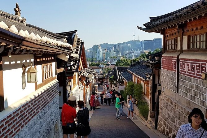Seoul City Private Tour (Optional layover) - Your private driver-guide and door-to-door comfort