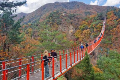 Seoul: DMZ Guided Tour with Suspension Bridge and Gondola - Pickup timing and the passport reality check