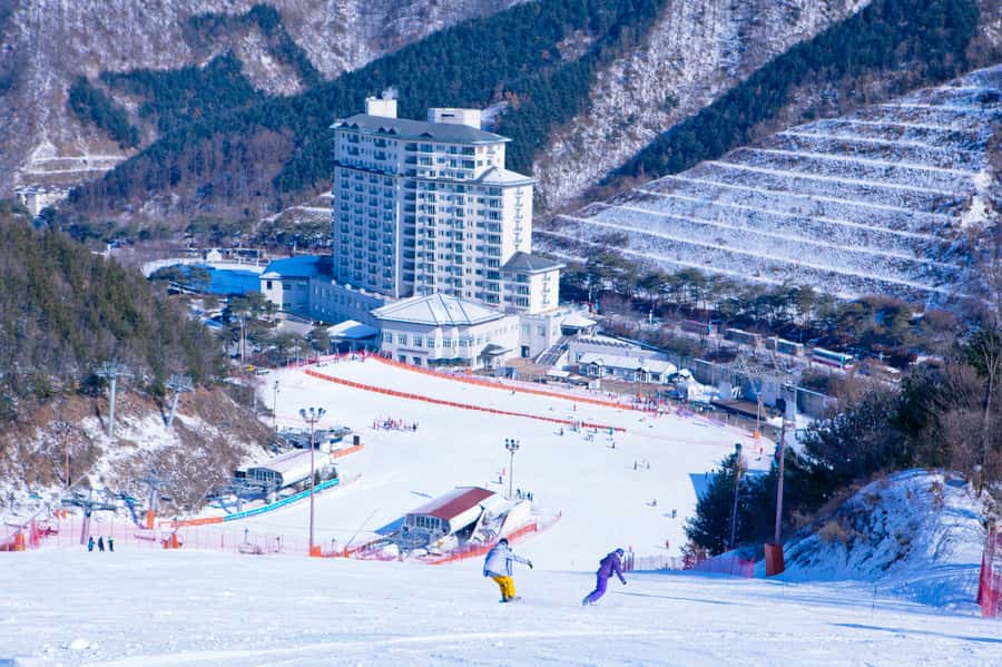 Seoul: Elysian Gangchon Winter Ski Resort Fun Day Tour - Sightseeing Lift and Snack Coupon: Snow Views Without Stress