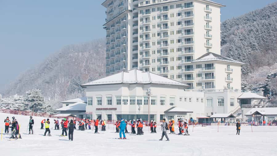 Seoul: Elysian Gangchon Winter Ski Resort Fun Day Tour - Timing, Transport, and What Happens at the End