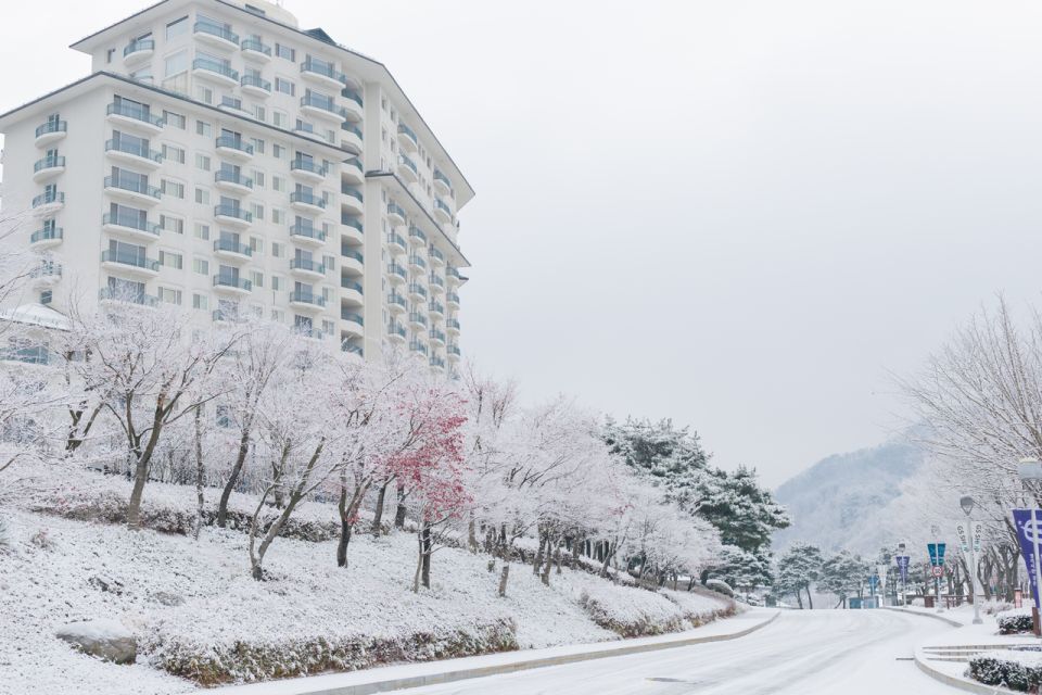 Seoul: Elysian Gangchon Winter Ski with Nami Island Day Tour - FAQ