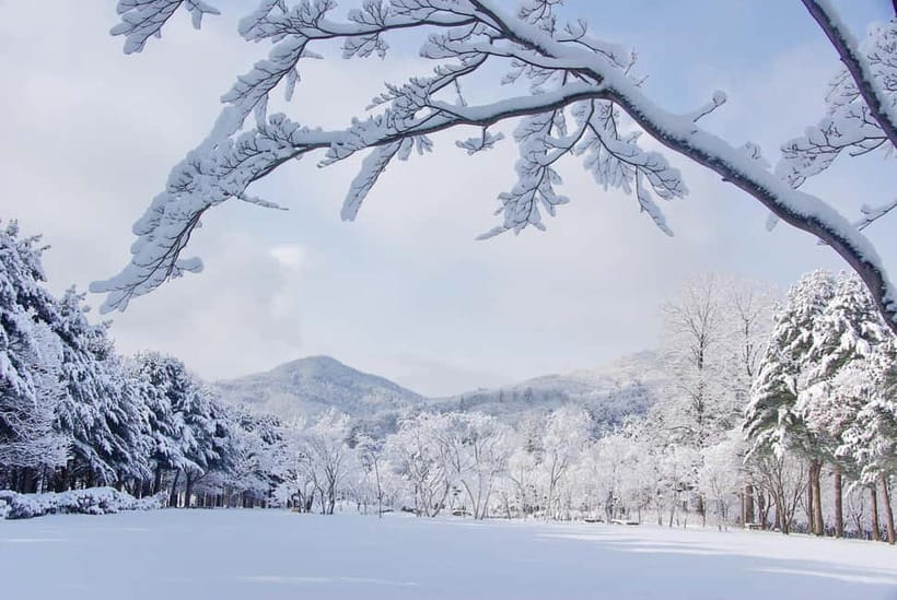 Seoul: Elysian Gangchon Winter Ski with Nami Island Day Tour - Elysian Gangchon Ski Resort: beginner lesson time and slope access
