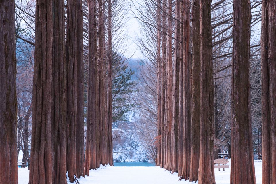 Seoul: Elysian Gangchon Winter Ski with Nami Island Day Tour - Picking your best option: Shuttle, ski, snowboard, sled, or sightseeing