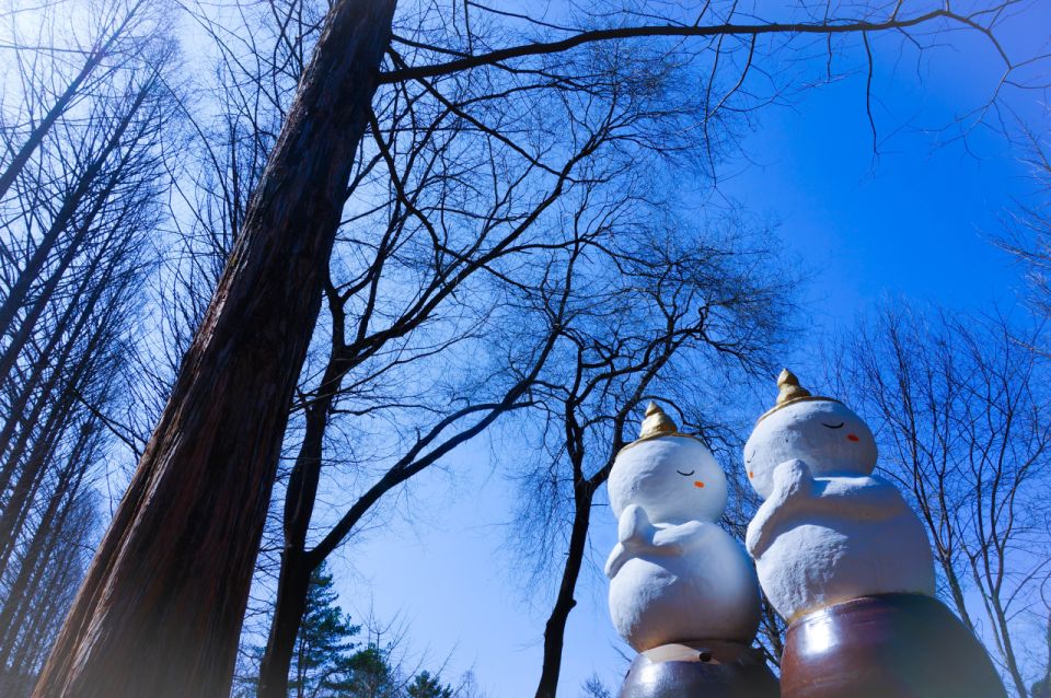 Seoul: Elysian Gangchon Winter Ski with Nami Island Day Tour - What you actually get for your money (and what costs extra)