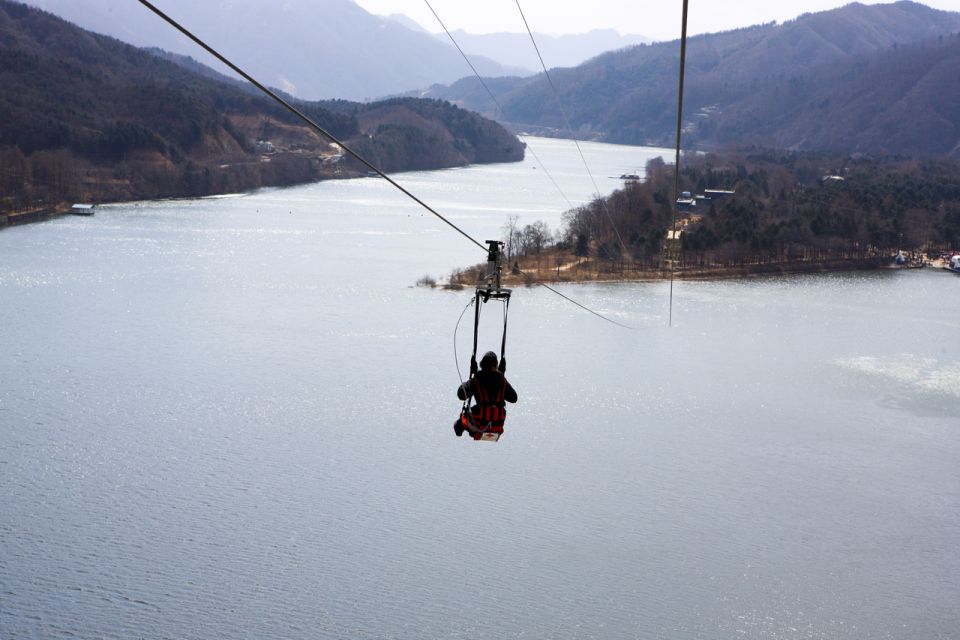 Seoul: Elysian Gangchon Winter Ski with Nami Island Day Tour - Who this tour is perfect for (and who should skip it)
